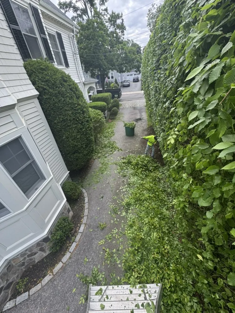 Expert outdoor landscaping experts serving Burlignton, MA - Nelson's Hardscape & Tree Service