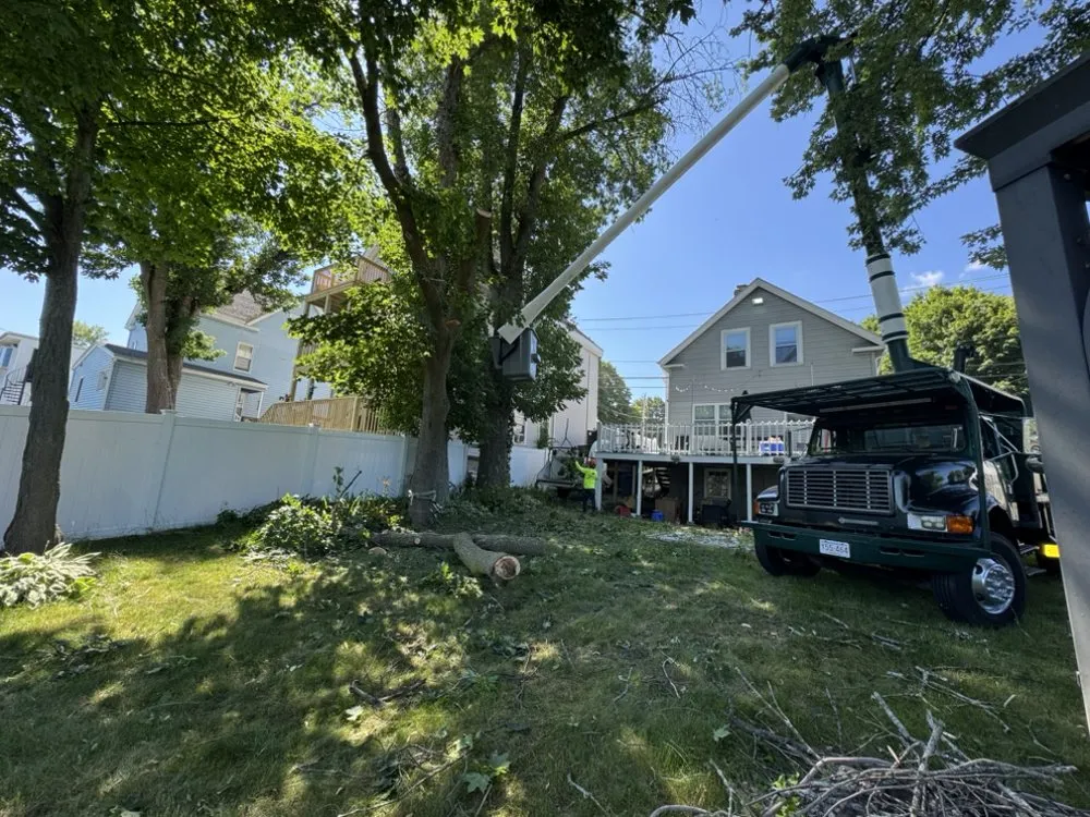 Local outdoor landscaping in Burlignton, MA by Nelson's Hardscape & Tree Service