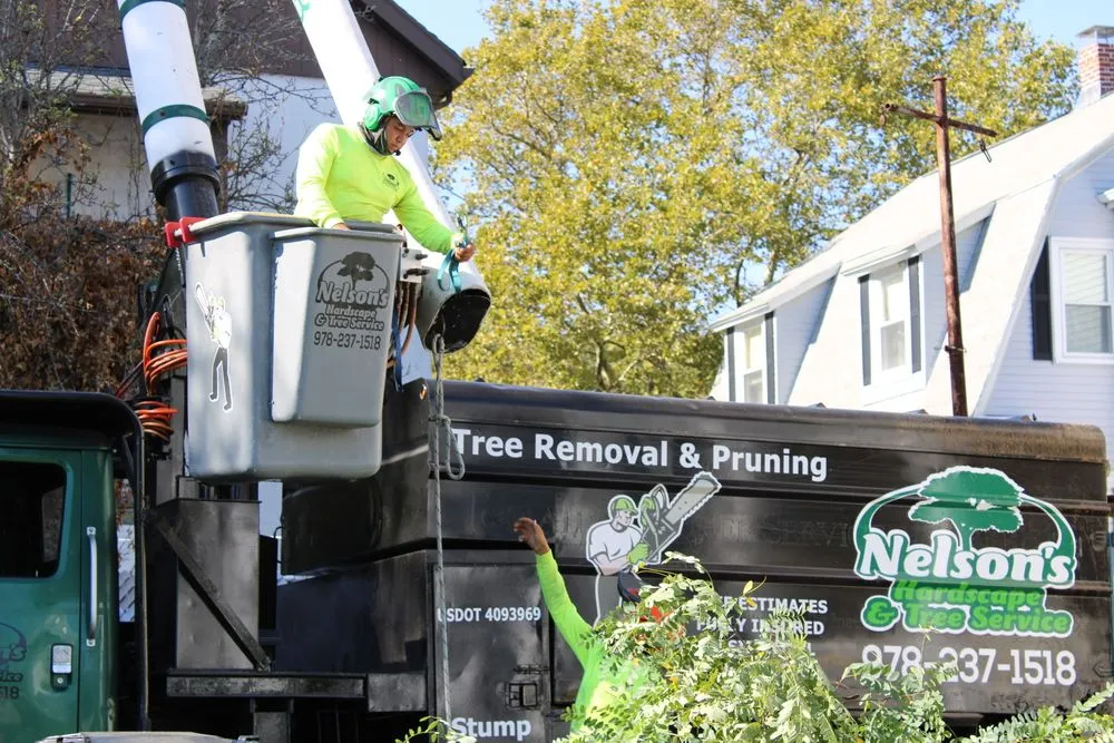 Affordable landscape design for outdoor upgrades in Burlignton, MA by Nelson's Hardscape & Tree Service