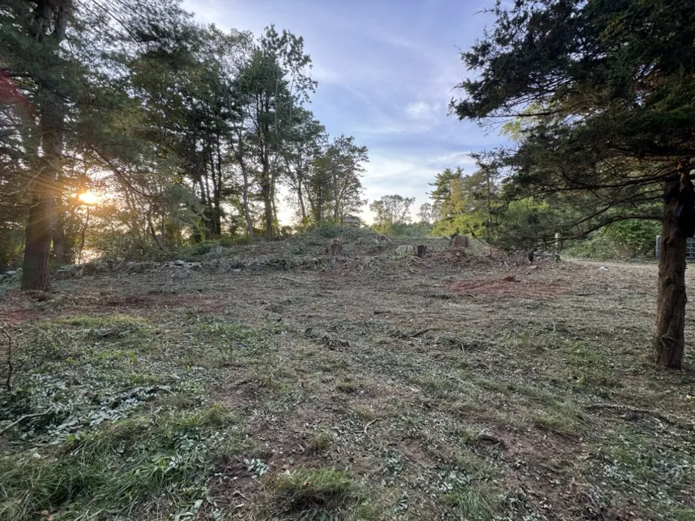 Trusted lawn mowing service in Burlignton, MA - Nelson's Hardscape & Tree Service
