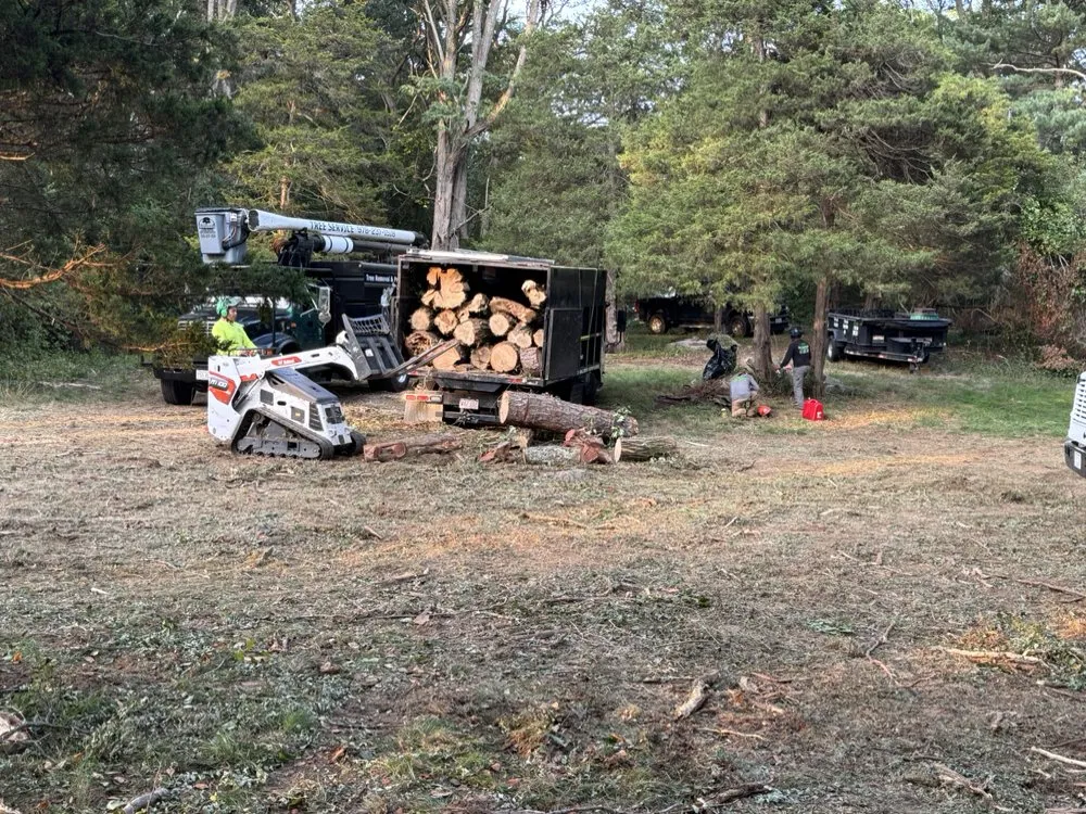 Custom lawn care service in Burlignton, MA by Nelson's Hardscape & Tree Service