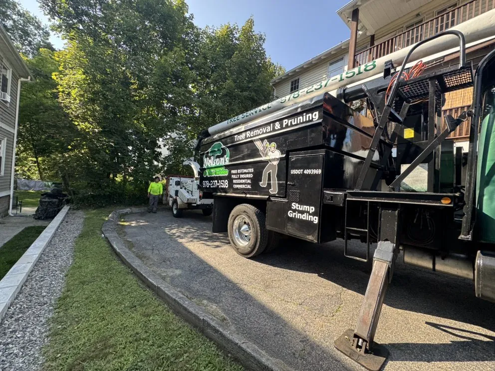Trusted lawn care service experts serving Burlignton, MA - Nelson's Hardscape & Tree Service