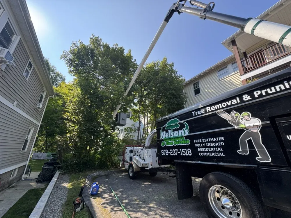 Expert landscaping services in Burlignton, MA by Nelson's Hardscape & Tree Service