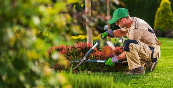 Nelson's Irrigation & Landscaping