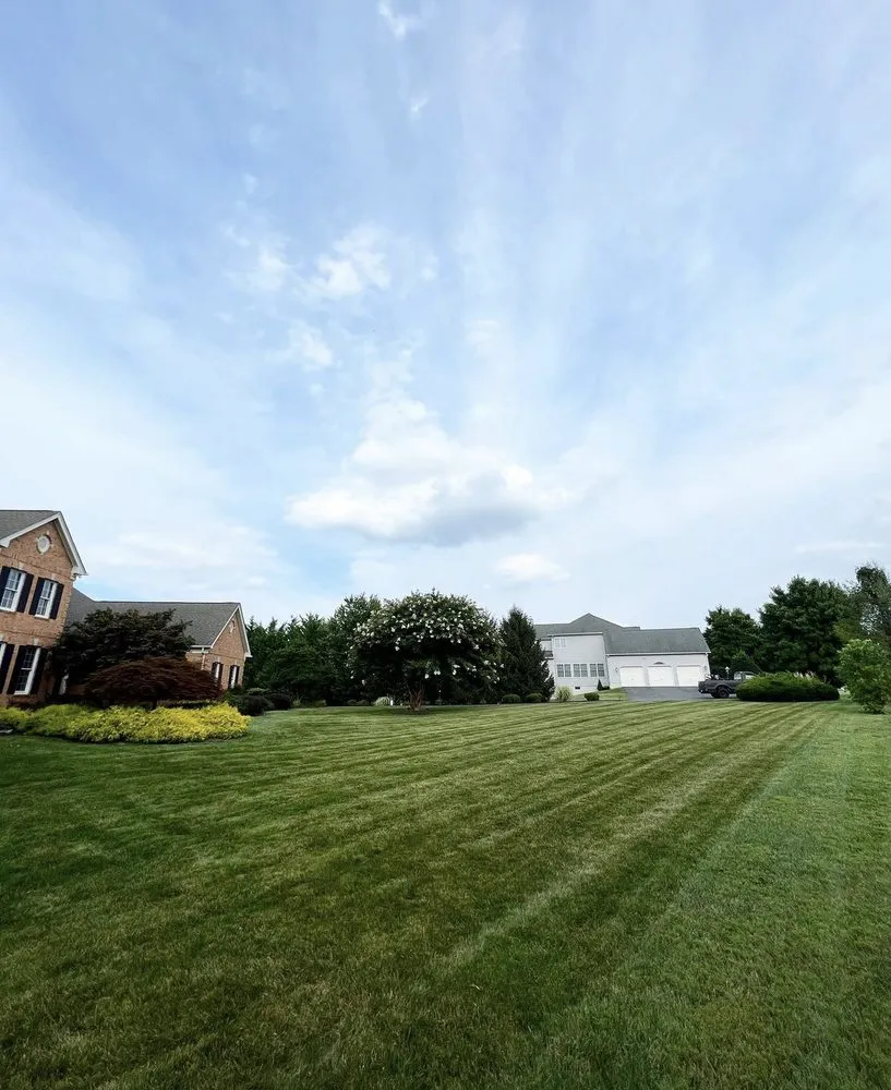 Top-rated garden landscaping in Elkridge, MD by Nelsons Landscape & Design