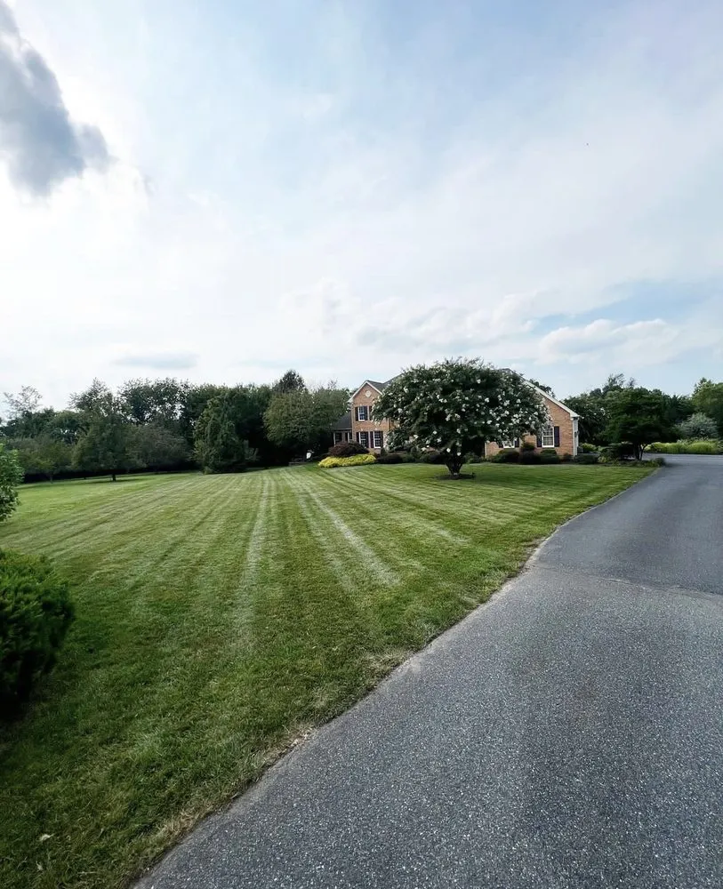 Custom residential landscaping experts serving Elkridge, MD - Nelsons Landscape & Design