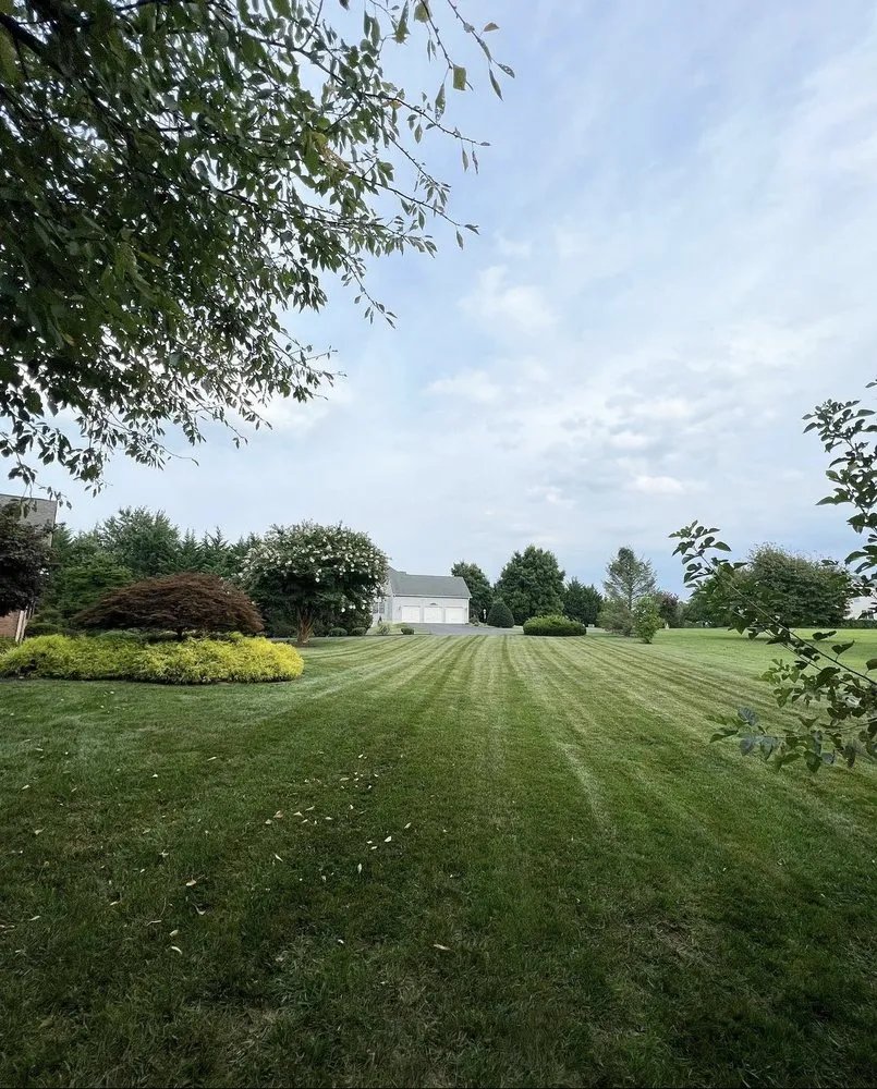 Reliable yard maintenance experts serving Elkridge, MD - Nelsons Landscape & Design