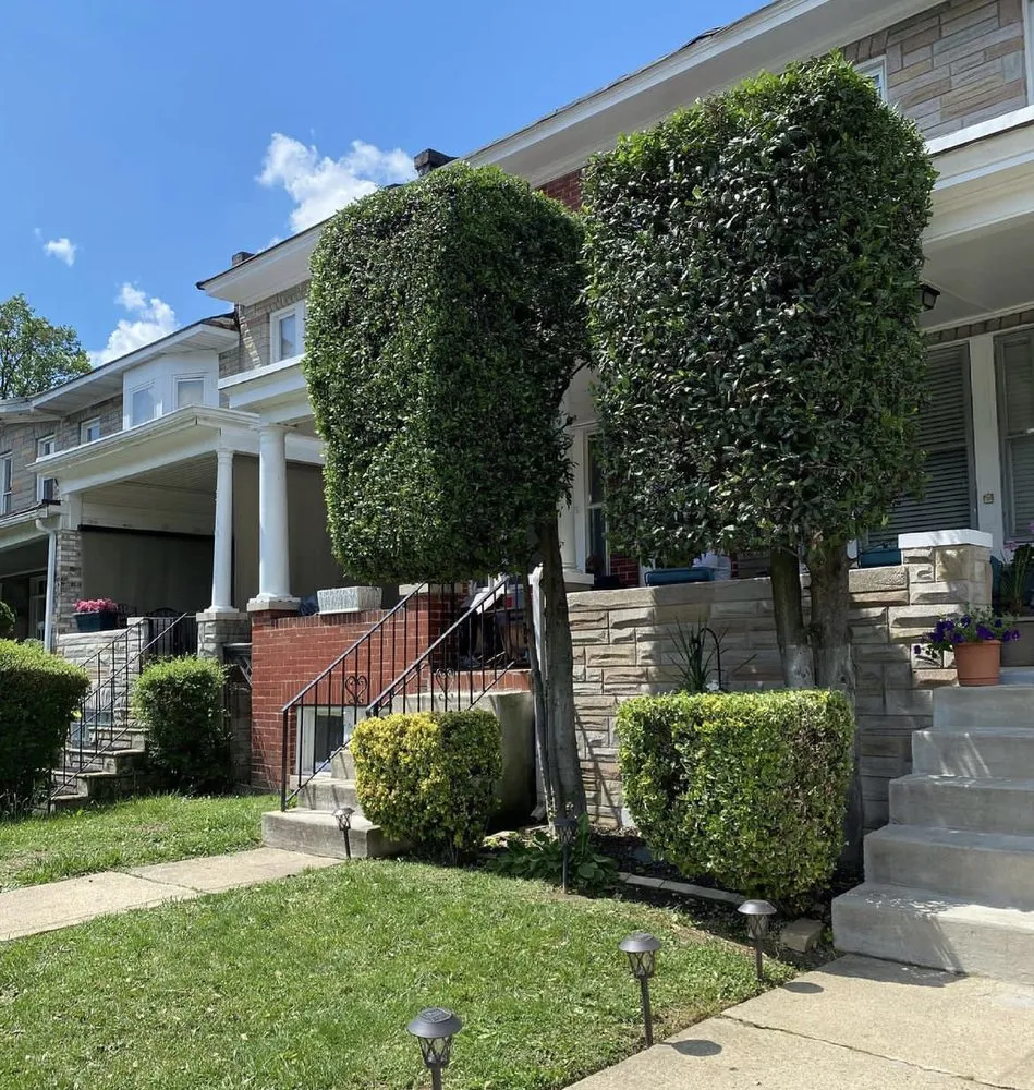 Top-rated residential landscaping experts serving Elkridge, MD - Nelsons Landscape & Design