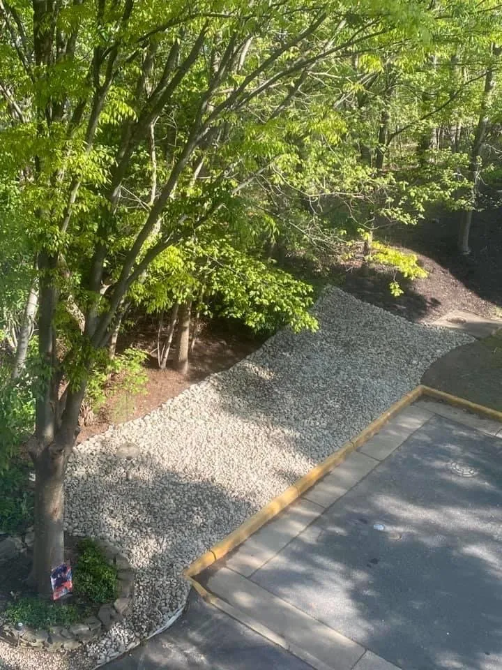 Local yard cleanup service in Sully Station, VA - Nelson's Landscaping & Tree Services