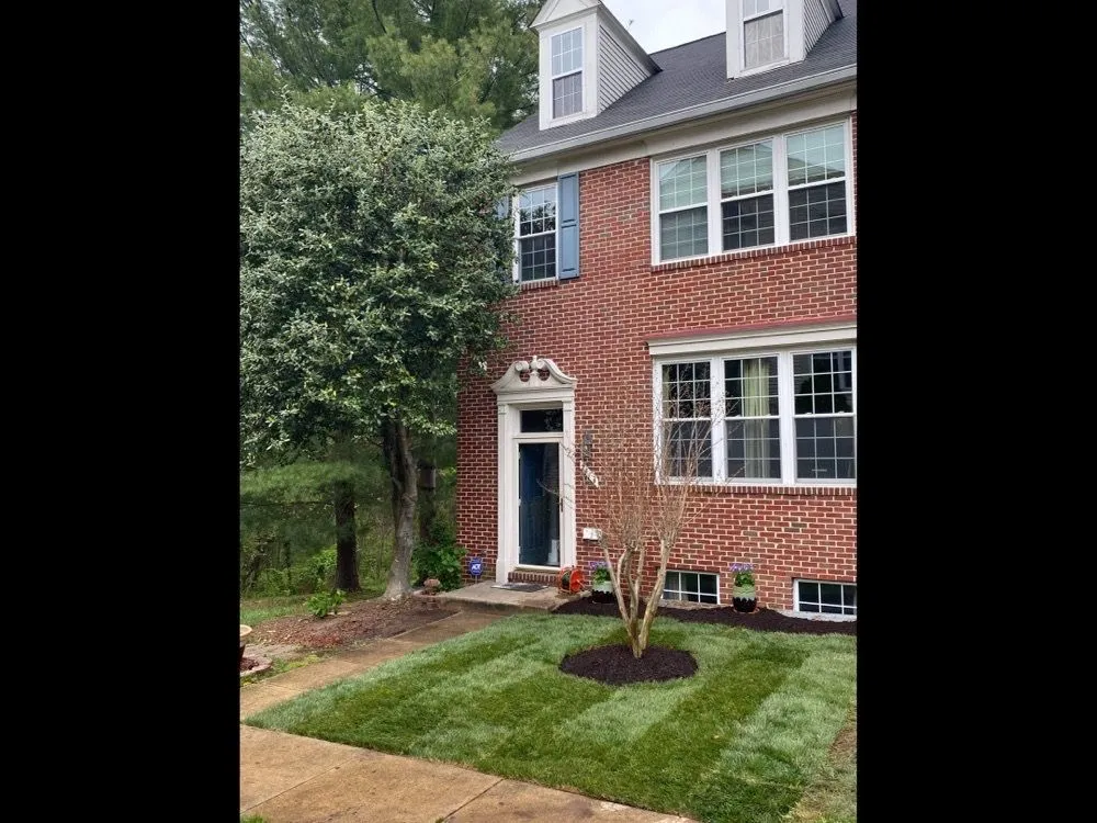 Reliable yard maintenance for year-round maintenance in Sully Station, VA by Nelson's Landscaping & Tree Services
