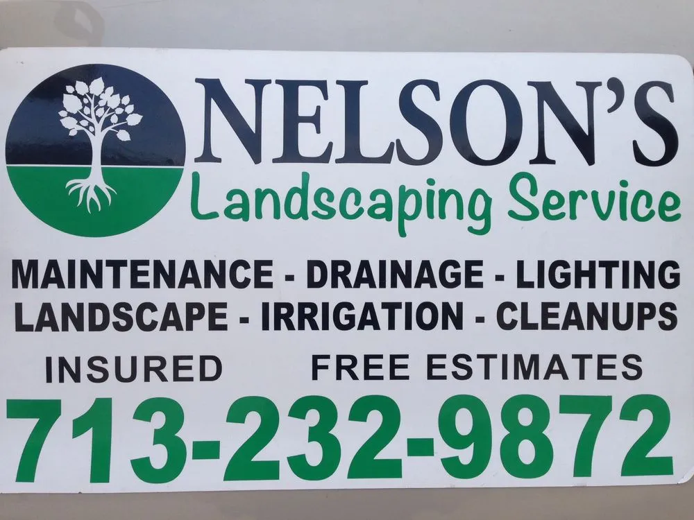 Expert yard cleanup service in Houston, TX by Nelson's Landscaping Service