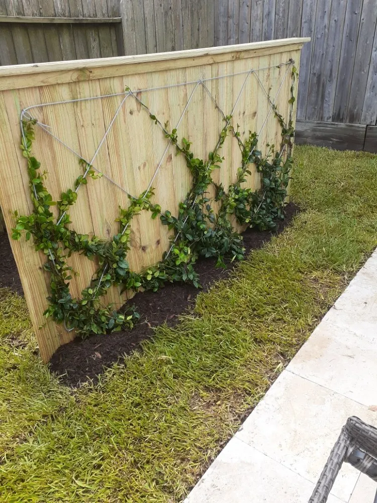 Professional landscaping services near you across Houston, TX - Nelson's Landscaping Service