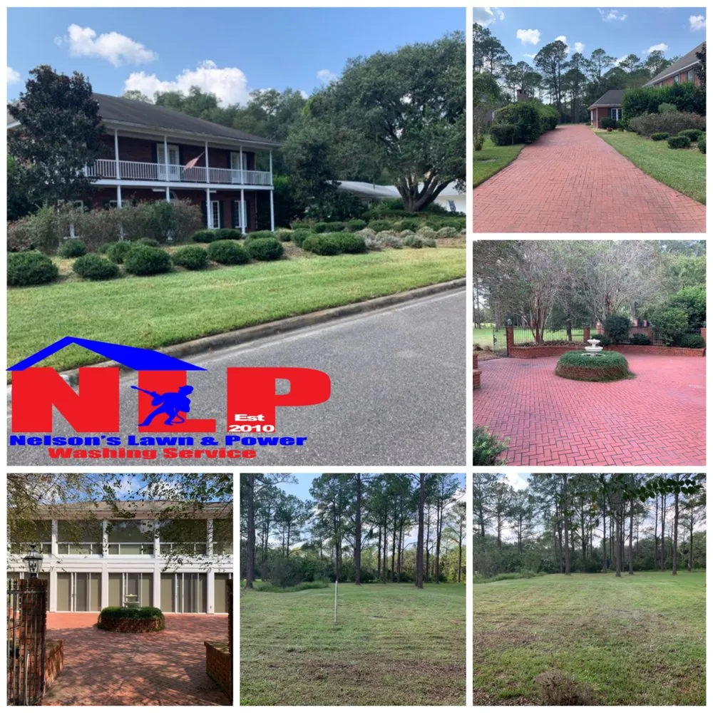 Top-rated yard cleanup service near you in Gainesville, FL by Nelsons Lawn and Power Washing Service