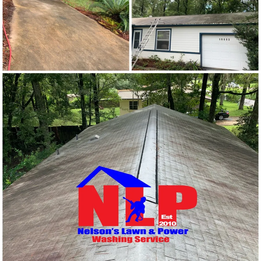 Professional yard cleanup service in Gainesville, FL - Nelsons Lawn and Power Washing Service