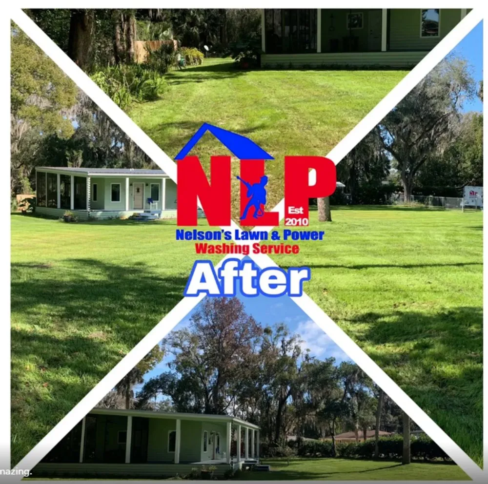Professional lawn care service experts serving Gainesville, FL - Nelsons Lawn and Power Washing Service