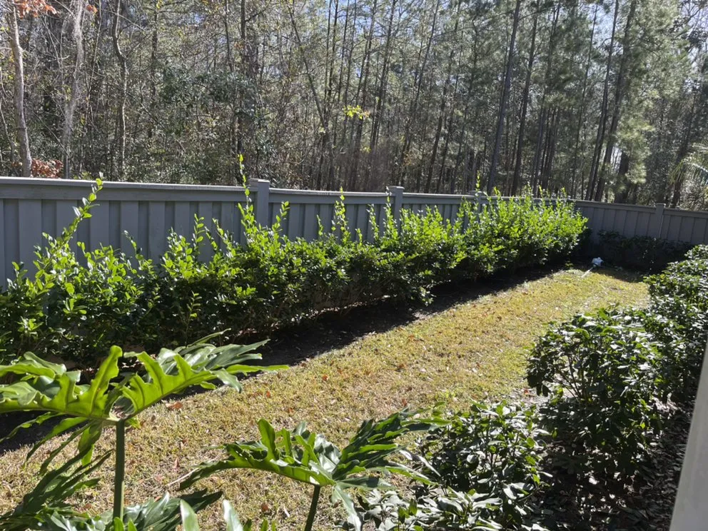 Expert residential landscaping for homes across Vernonburg, GA - Nelson’s Lawn Care And Landscaping