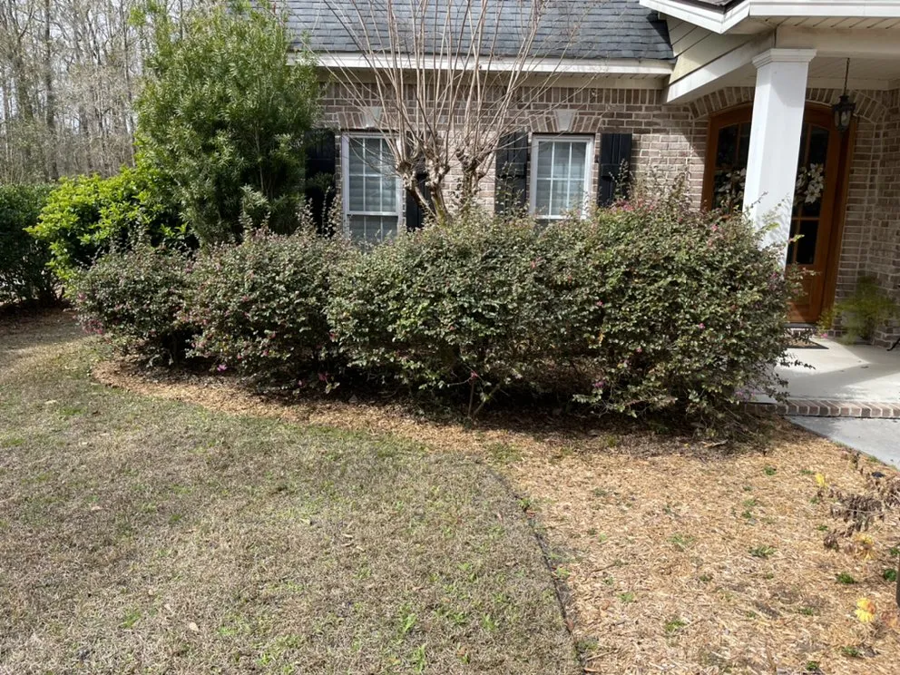 Professional yard cleanup service experts serving Vernonburg, GA - Nelson’s Lawn Care And Landscaping