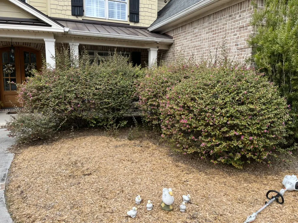 Expert landscape design in Vernonburg, GA - Nelson’s Lawn Care And Landscaping