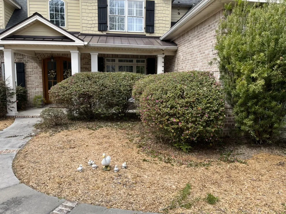 Reliable landscape design for beautiful yards across Vernonburg, GA - Nelson’s Lawn Care And Landscaping