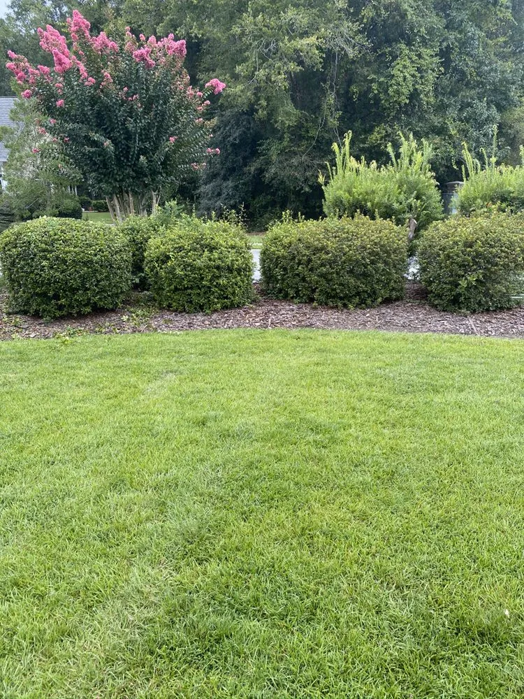 Professional residential landscaping for outdoor upgrades in Vernonburg, GA by Nelson’s Lawn Care And Landscaping