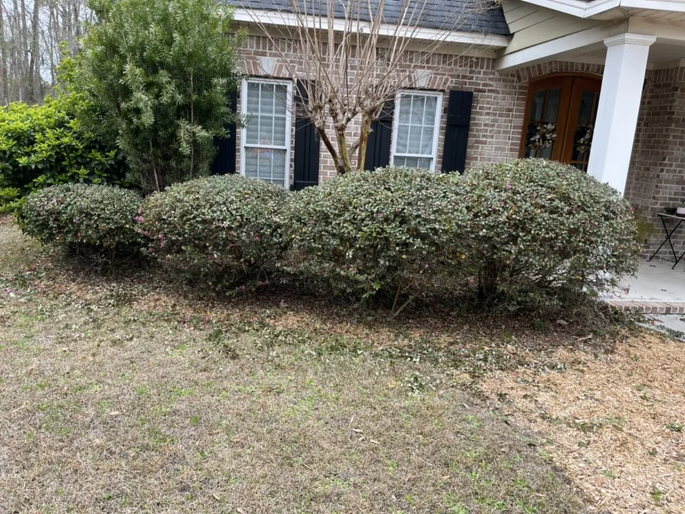 Professional yard cleanup service in Vernonburg, GA by Nelson’s Lawn Care And Landscaping