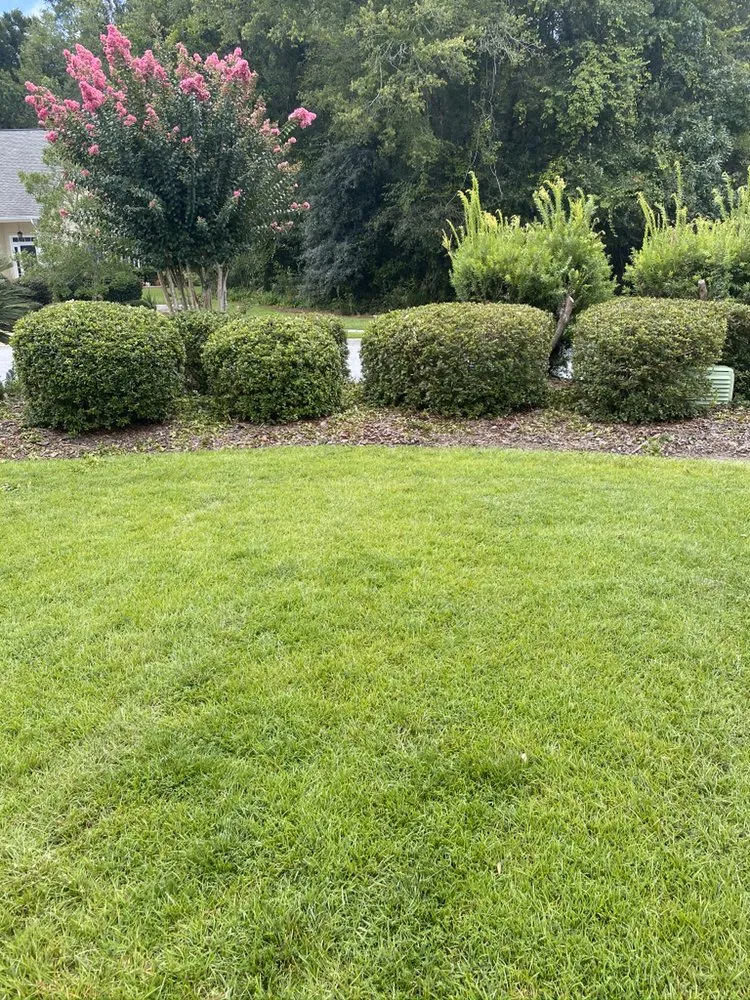 Custom garden landscaping for year-round maintenance across Vernonburg, GA - Nelson’s Lawn Care And Landscaping