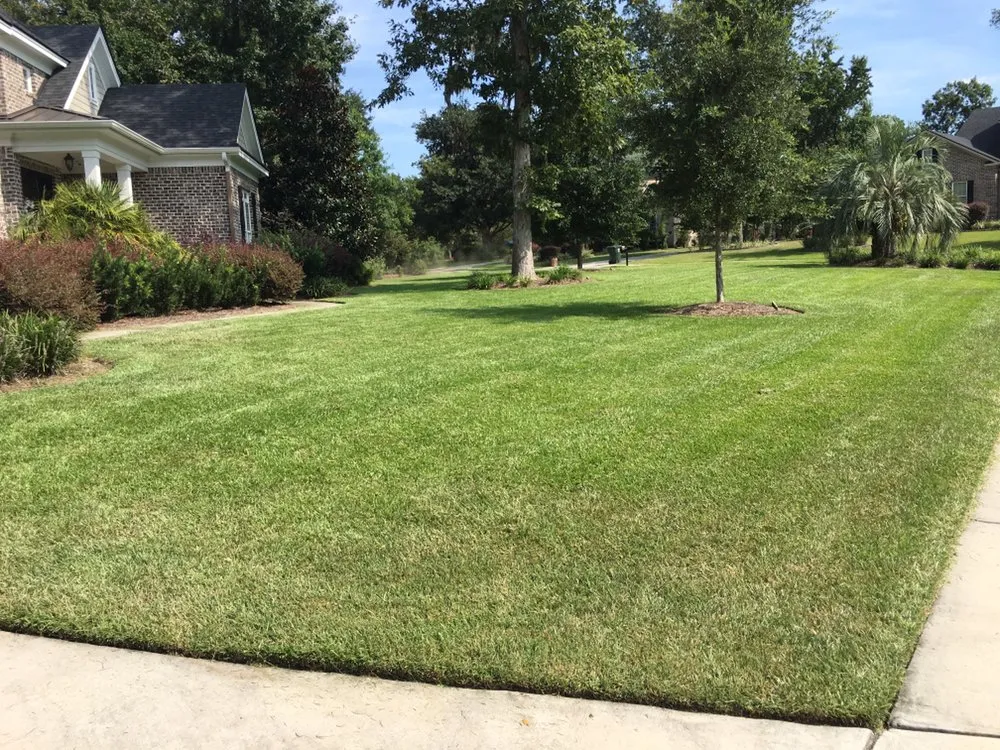 Top-rated lawn mowing service for outdoor upgrades across Vernonburg, GA - Nelson’s Lawn Care And Landscaping