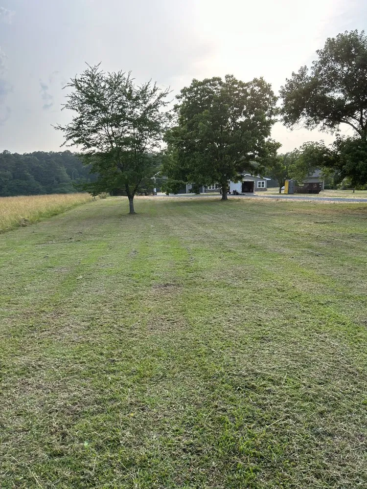 Reliable yard maintenance for year-round maintenance across Rome, GA - Nelson’s Lawn Care