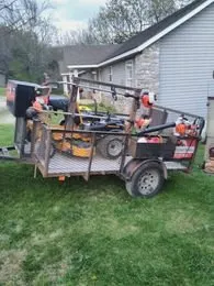 Top-rated yard cleanup service in Lowell, AR by Nelson's Lawn Service