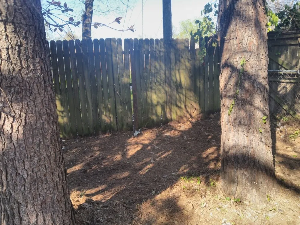 Top-rated yard cleanup service in Lowell, AR - Nelson's Lawn Service