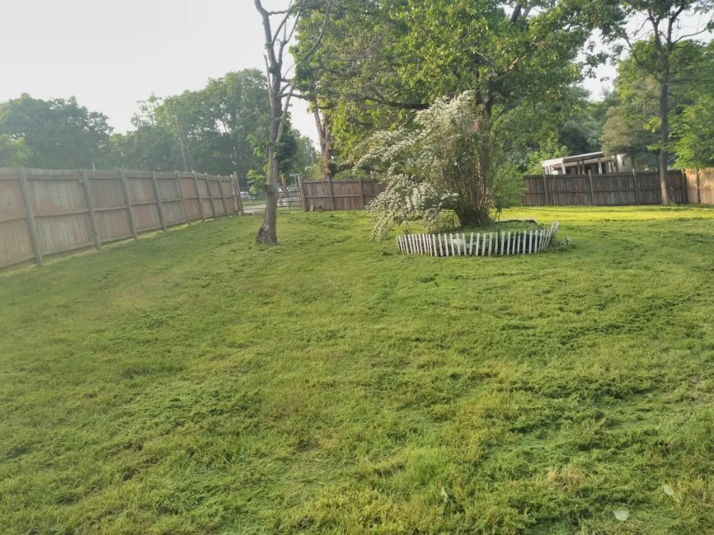 Trusted landscaping services near you in Lowell, AR by Nelson's Lawn Service