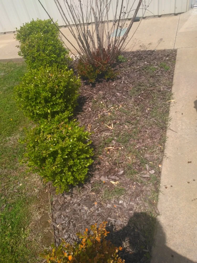 Reliable lawn care service near you across Lowell, AR - Nelson's Lawn Service