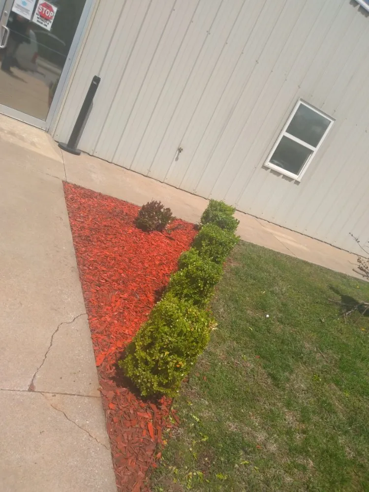 Professional lawn care service in Lowell, AR by Nelson's Lawn Service