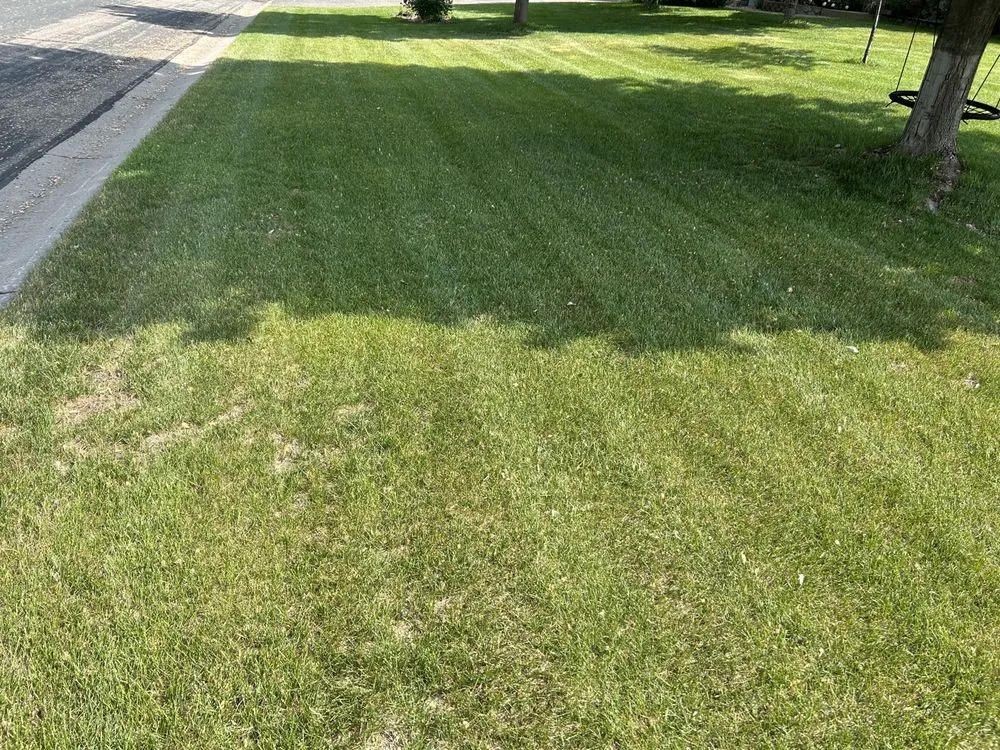Trusted landscape installation in Blaine, MN by Nelson’s Property Care