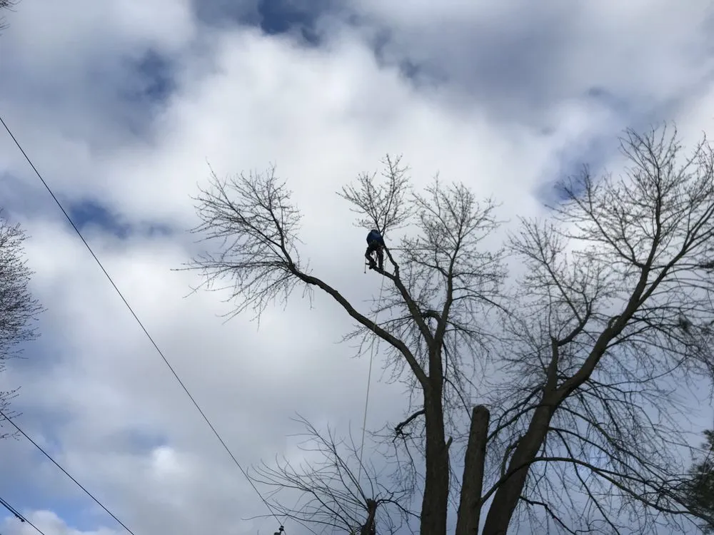 Expert lawn mowing service in Nazareth, PA by Nemeth Landscape & Tree