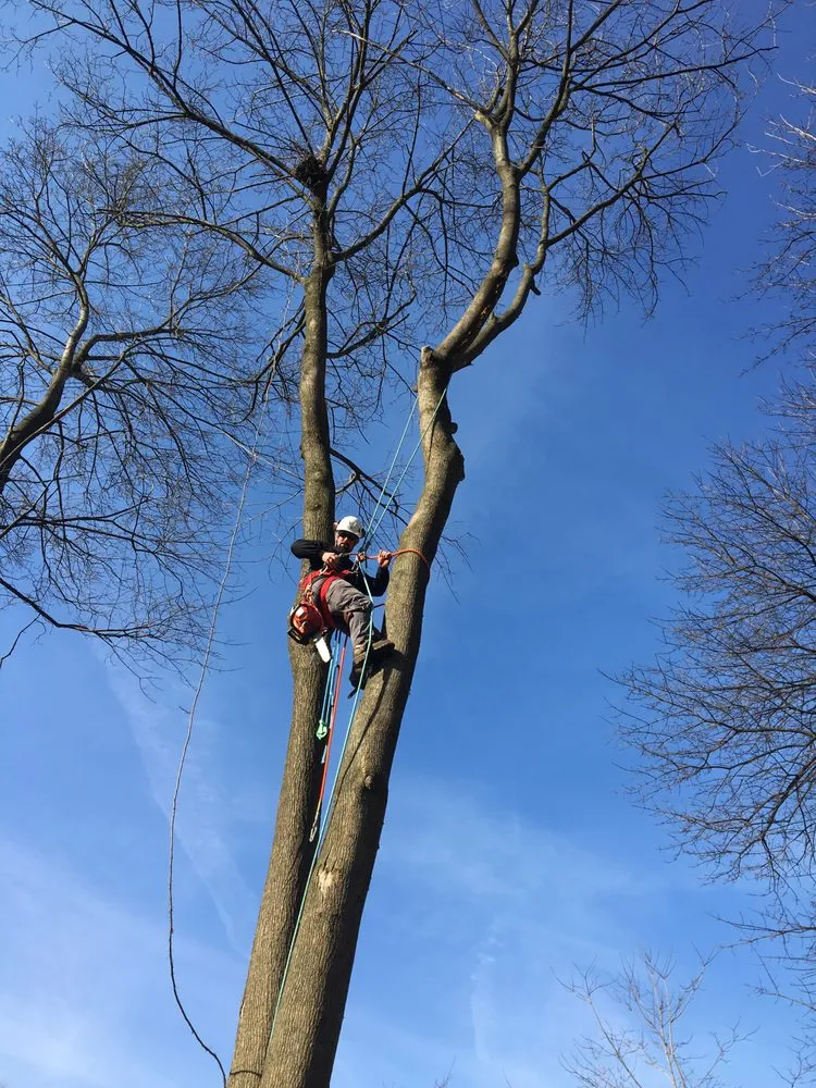 Affordable garden landscaping in Nazareth, PA - Nemeth Landscape & Tree