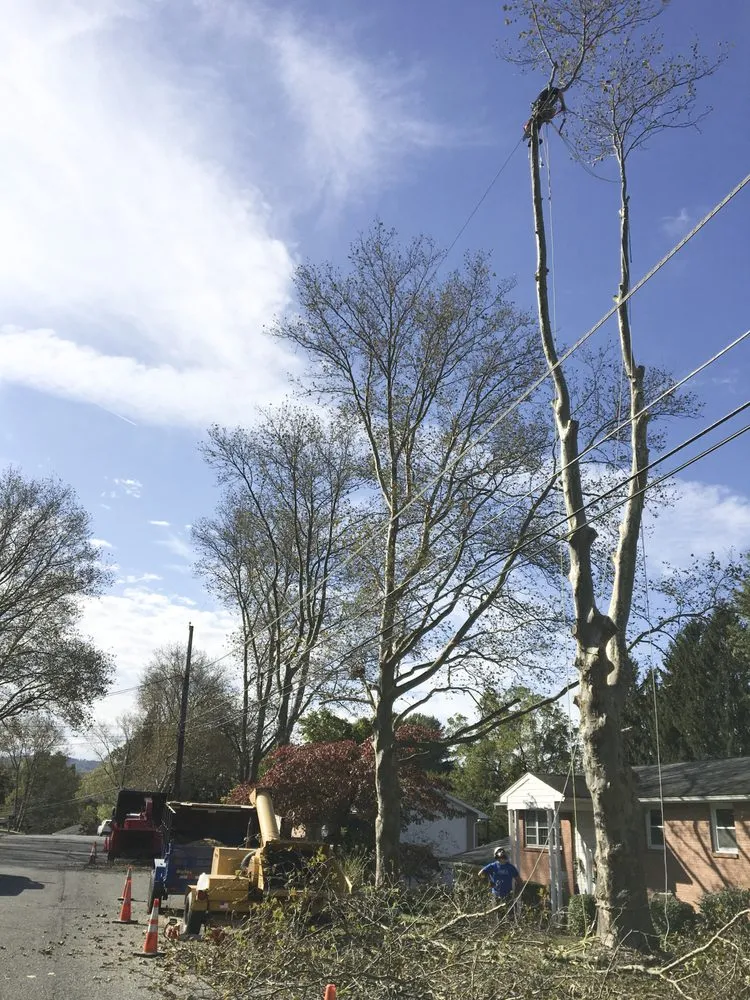 Professional lawn mowing service experts serving Nazareth, PA - Nemeth Landscape & Tree