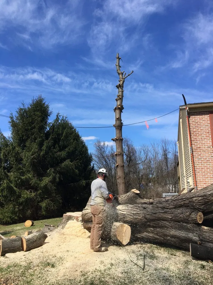 Top-rated yard cleanup service for homes across Nazareth, PA - Nemeth Landscape & Tree