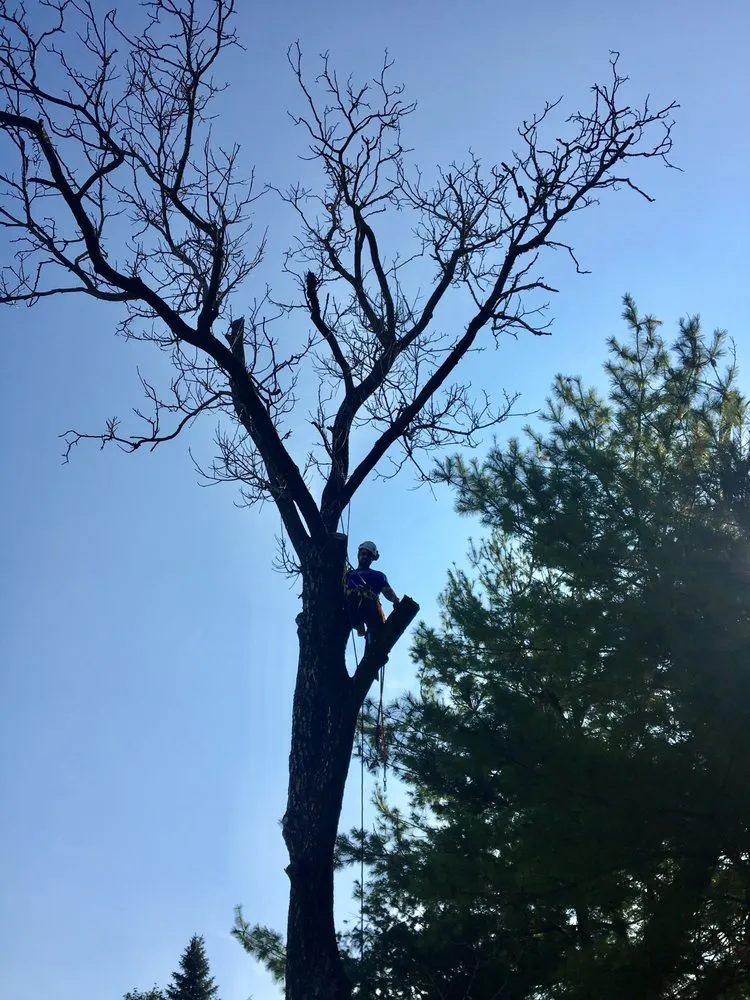 Custom outdoor landscaping in Nazareth, PA - Nemeth Landscape & Tree