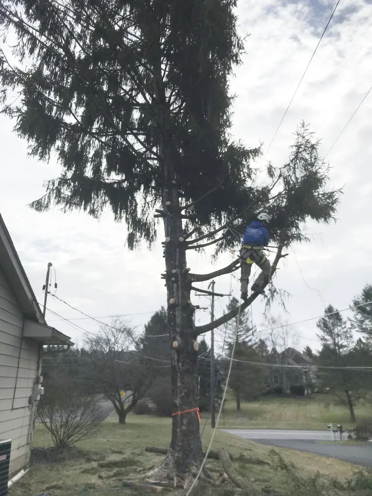 Expert landscaping services in Nazareth, PA - Nemeth Landscape & Tree