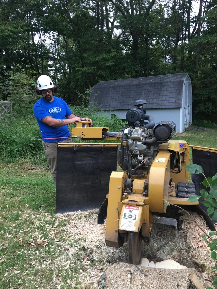 Reliable landscape installation near you in Nazareth, PA by Nemeth Landscape & Tree