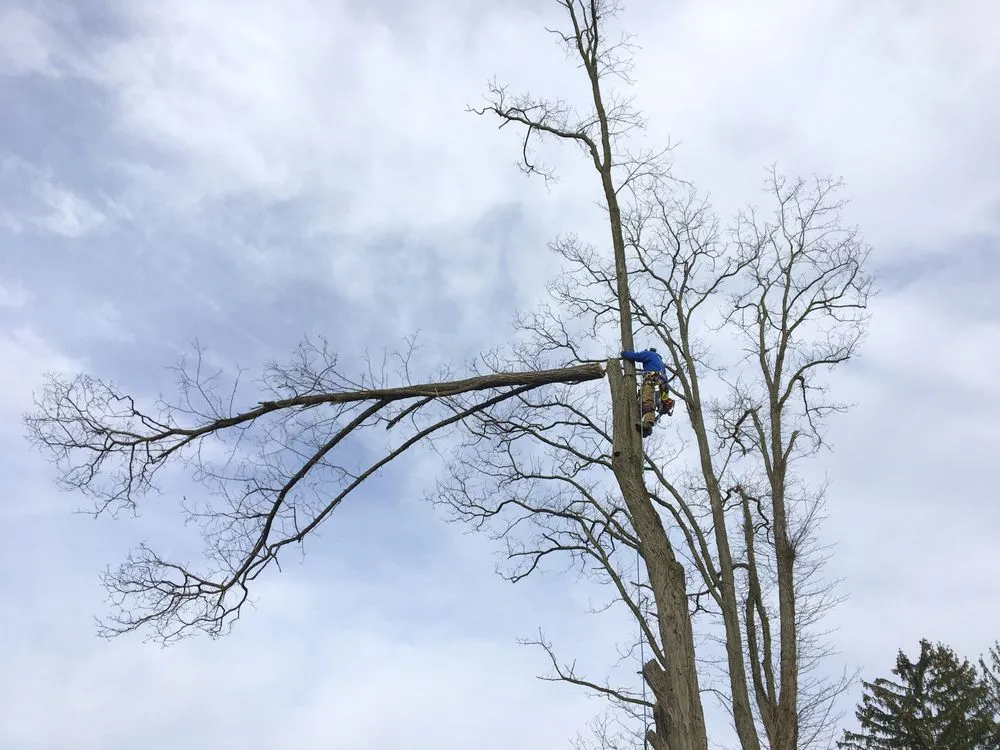 Top-rated outdoor landscaping in Nazareth, PA - Nemeth Landscape & Tree