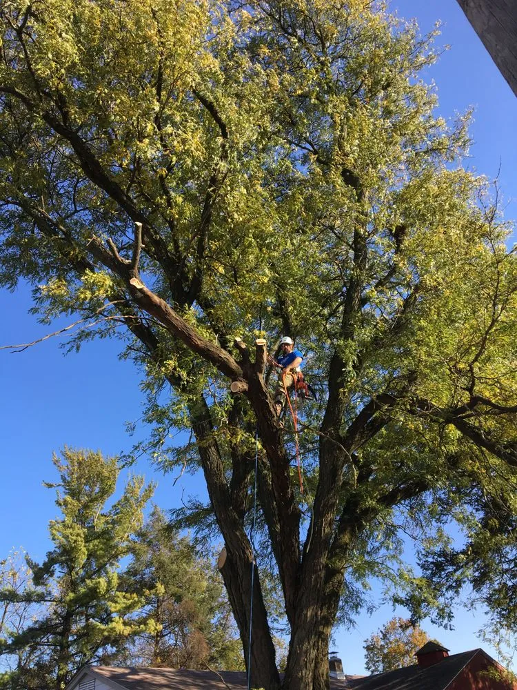 Trusted landscaping services experts serving Nazareth, PA - Nemeth Landscape & Tree