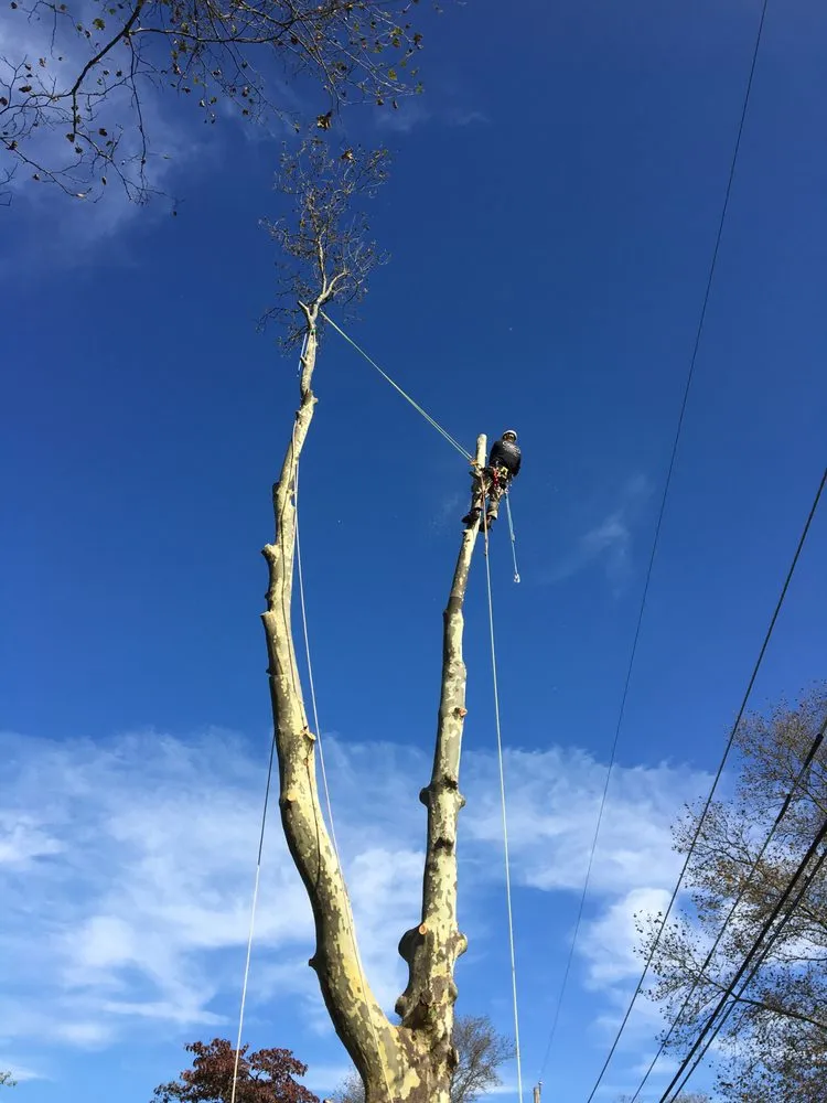 Local outdoor landscaping near you in Nazareth, PA by Nemeth Landscape & Tree