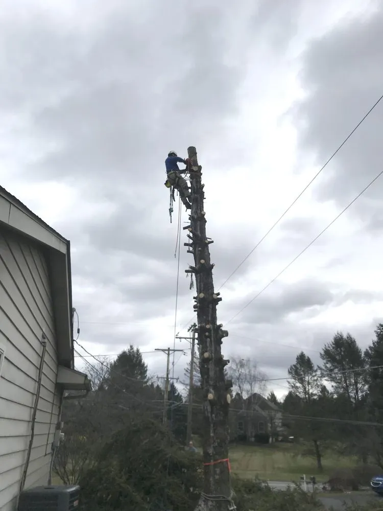 Affordable landscaping services in Nazareth, PA by Nemeth Landscape & Tree