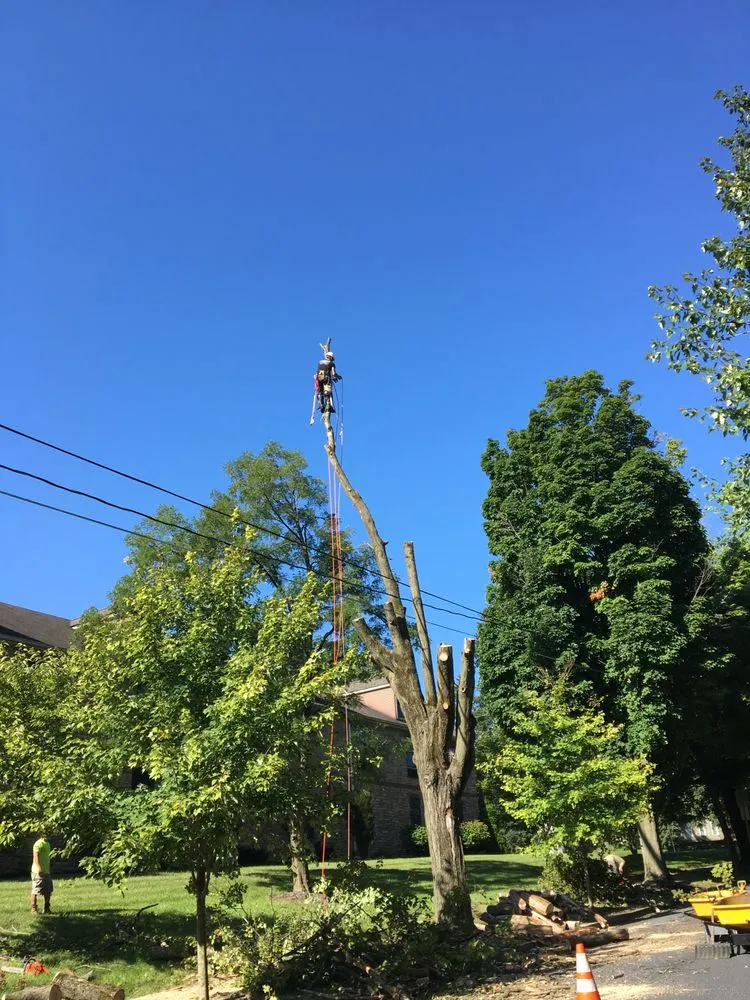 Trusted lawn mowing service for outdoor upgrades across Nazareth, PA - Nemeth Landscape & Tree