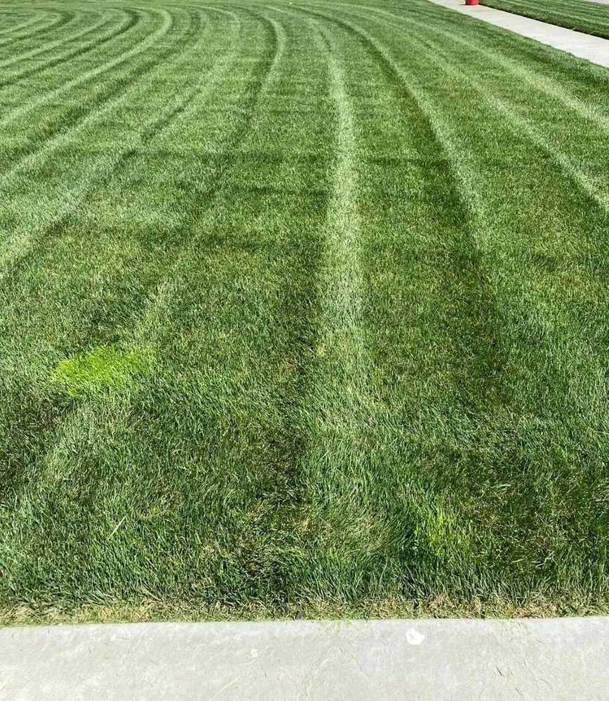 Top-rated lawn mowing service experts serving Monclova, OH - Nemire's Lawn Service