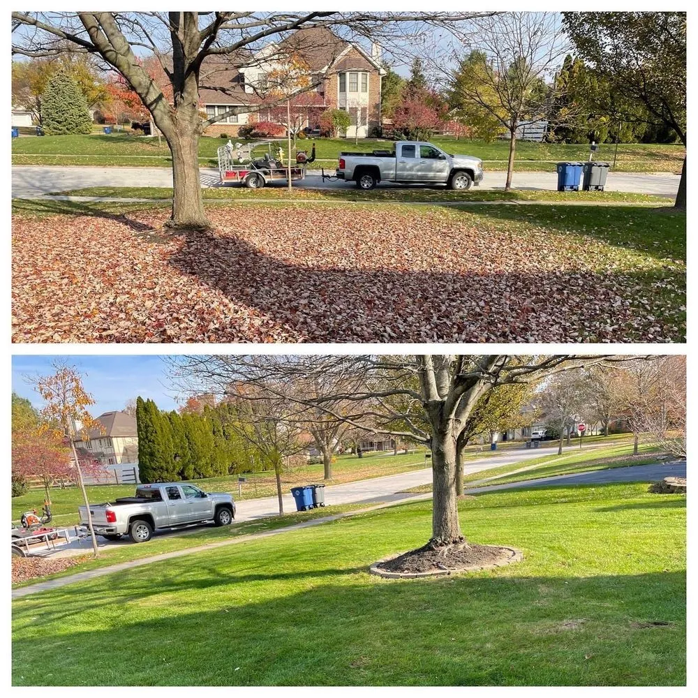 Custom lawn care service for year-round maintenance across Monclova, OH - Nemire's Lawn Service