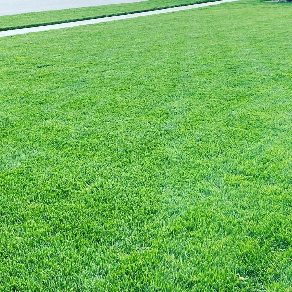 Trusted yard maintenance experts serving Monclova, OH - Nemire's Lawn Service