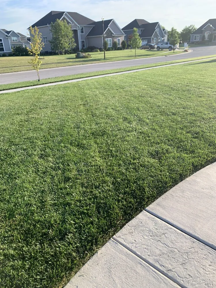 Affordable landscape installation for beautiful yards in Monclova, OH by Nemire's Lawn Service